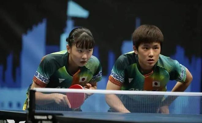 体育足协杯 体育足协杯